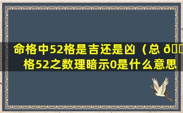 命格中52格是吉还是凶（总 🌳 格52之数理暗示0是什么意思）